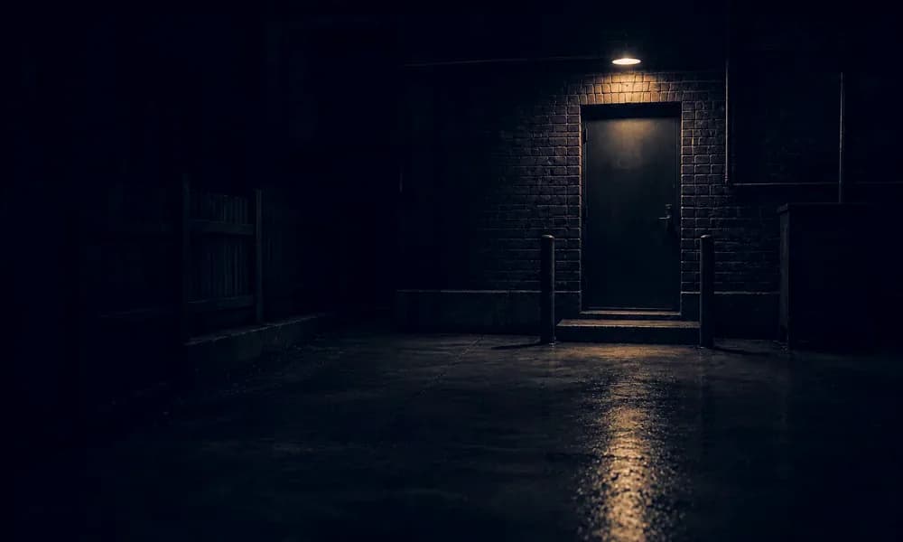 Single light illuminates a closed door behind a bar.